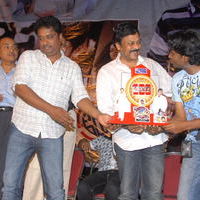 Rangam 100 Days Function Pictures | Picture 66802
